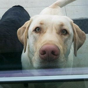 Meet your Posher, Nick